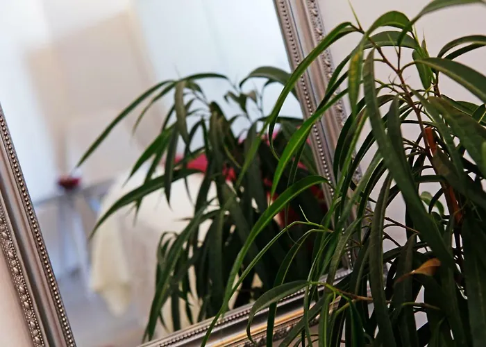 Luxory D-rooms Vela Luka